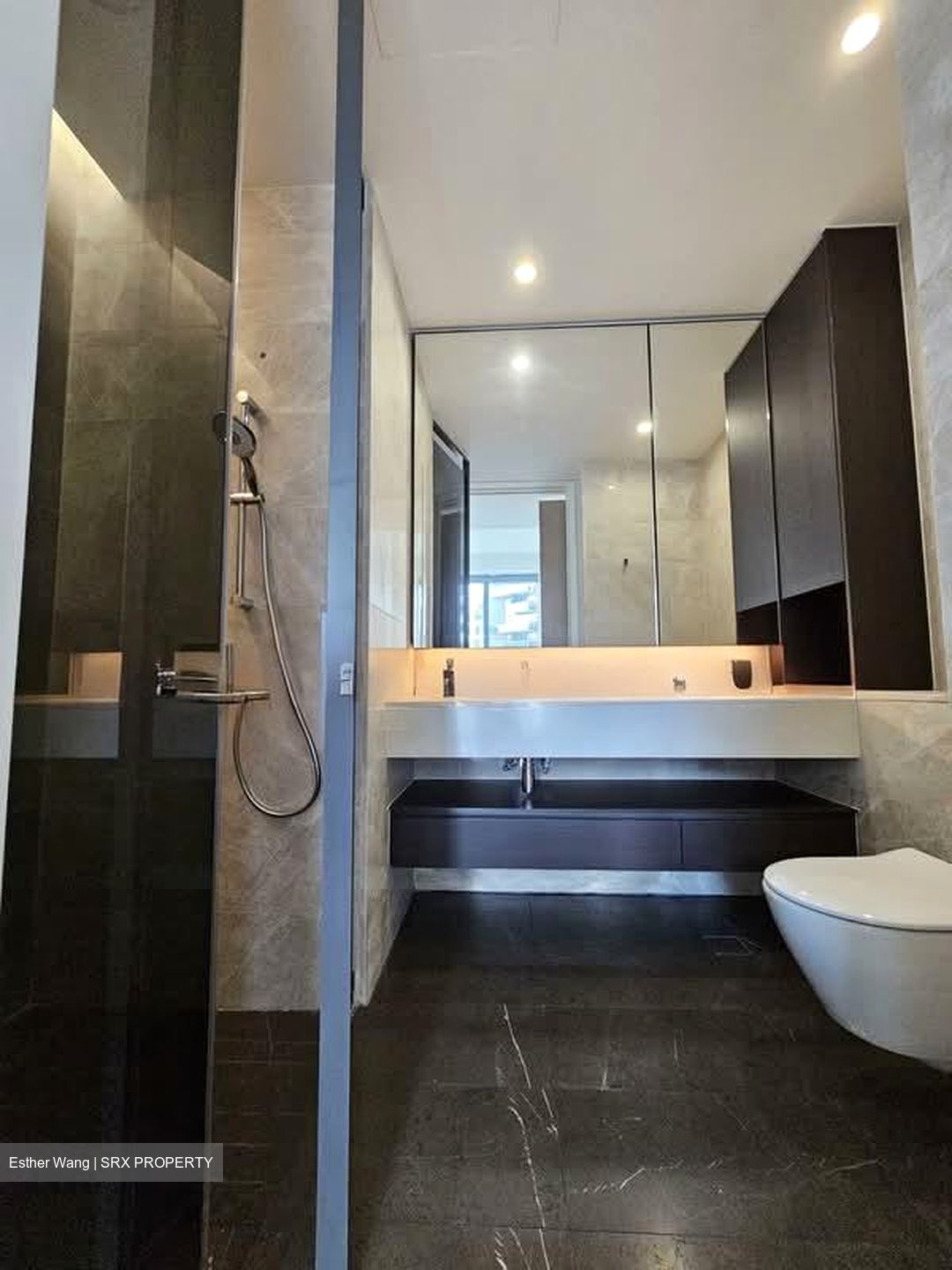 Amber Park (D15), Condominium #567167541